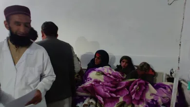 died others injured — 11 died and 13 others were injured when an avalanche occurred