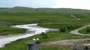 Update on the Deusai Water Divergence Movement’s Progress