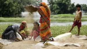 Can Pakistan benefit from the restriction on rice exports in India?