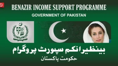 banazir income support — banazir income support Program – BISP Full Guide