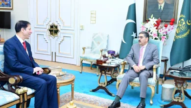 pm interim kp — PM, Interim KP Chief Minister Discuss General Election, Provincial Matters