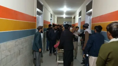 killed injured terrorist — 8 Killed, 15 Injured in Terrorist Attack on Bus in Chilas