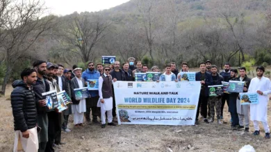 snow leopard foundation — Snow Leopard Foundation Commemorates World Wildlife Day 2024
