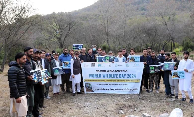 snow leopard foundation — Snow Leopard Foundation Commemorates World Wildlife Day 2024