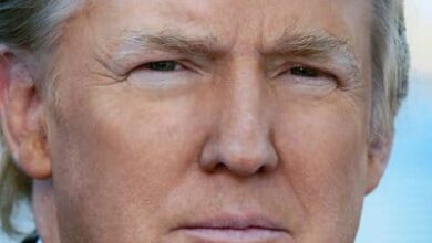 exciting insights into — Exciting Insights into Donald Trump’s 2025 Plans: New Cryptocurrency Launch and