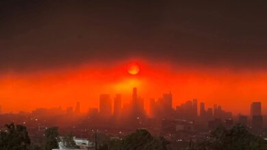 los angeles wildfires — Los Angeles wildfires: Devastation, Recovery, and the City’s Resilience