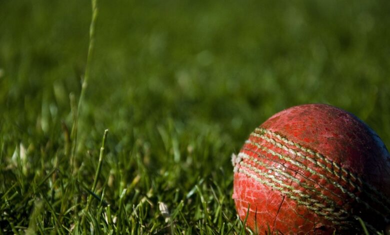 Pakistan cricket team Asia Cup 2026 preparation squad training